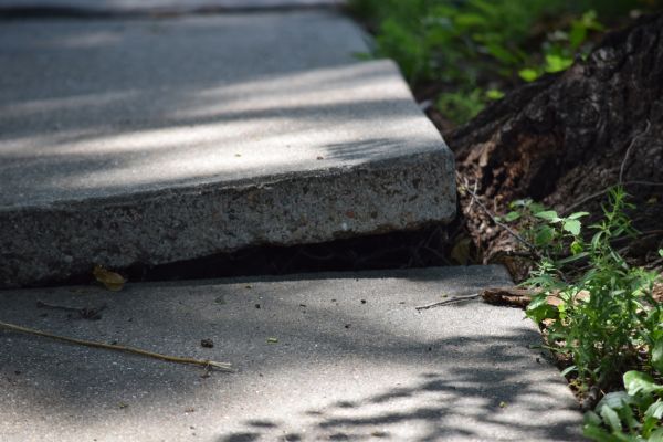 Cost of Sidewalk Leveling in Cheyenne