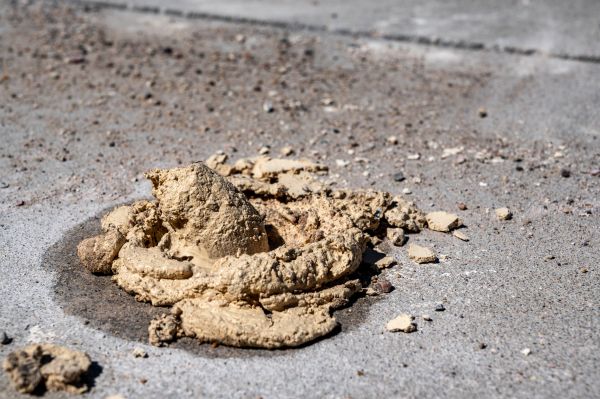 Cost of Driveway Slab Leveling in Cheyenne